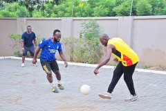 imgi_152_thumbs_OLEA-M_G-2022-150