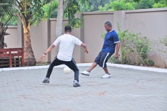 imgi_153_thumbs_OLEA-M_G-2022-151