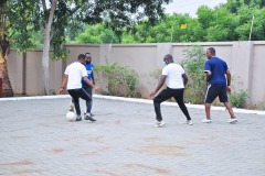 imgi_155_thumbs_OLEA-M_G-2022-153