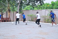 imgi_156_thumbs_OLEA-M_G-2022-154