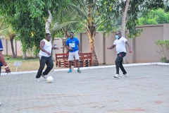 imgi_158_thumbs_OLEA-M_G-2022-156