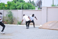 imgi_159_thumbs_OLEA-M_G-2022-157