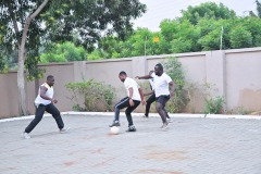 imgi_161_thumbs_OLEA-M_G-2022-159