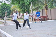 imgi_162_thumbs_OLEA-M_G-2022-160