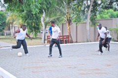 imgi_163_thumbs_OLEA-M_G-2022-161