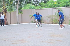 imgi_175_thumbs_OLEA-M_G-2022-173