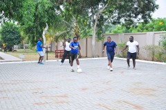 imgi_180_thumbs_OLEA-M_G-2022-178