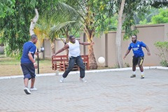 imgi_182_thumbs_OLEA-M_G-2022-180