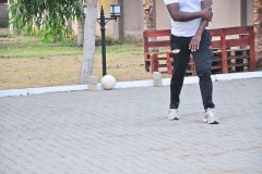 imgi_191_thumbs_OLEA-M_G-2022-189